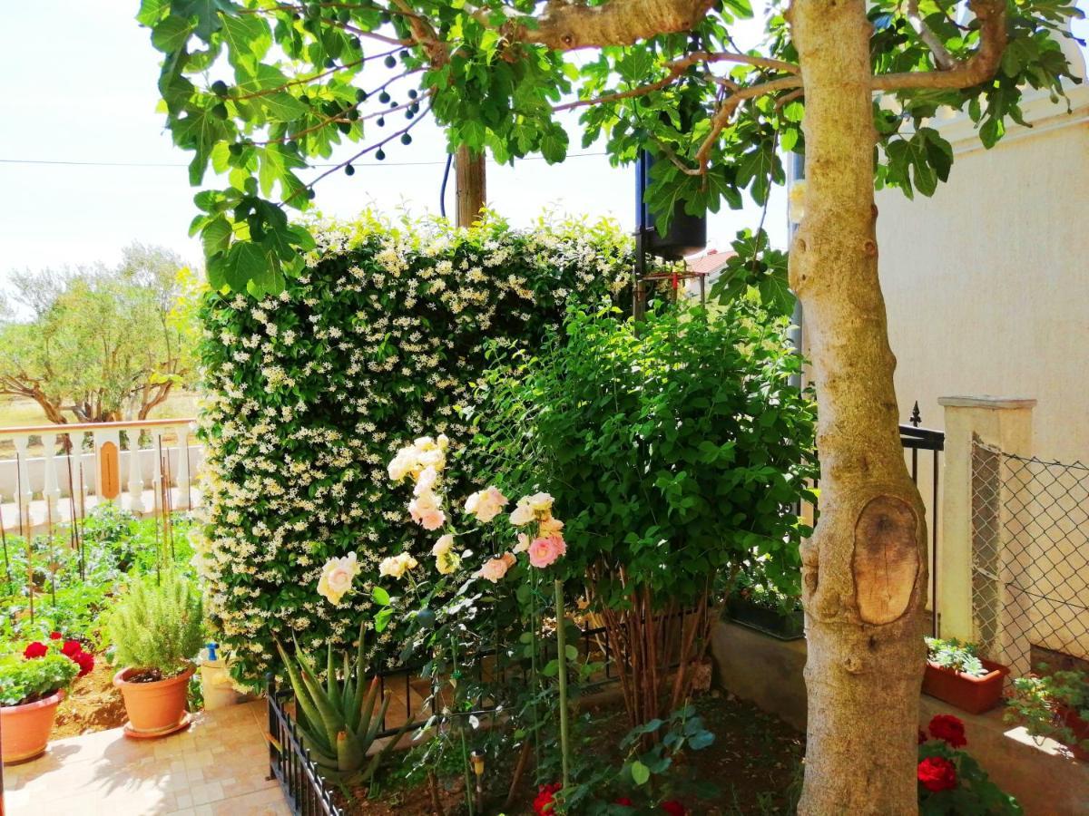 Apartments Brkovic Sukošan Εξωτερικό φωτογραφία